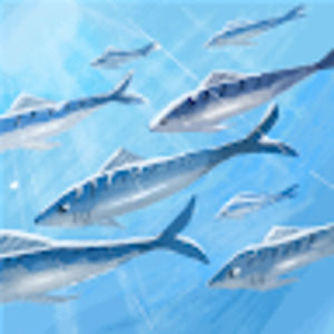 Meet your Posher, Nathan